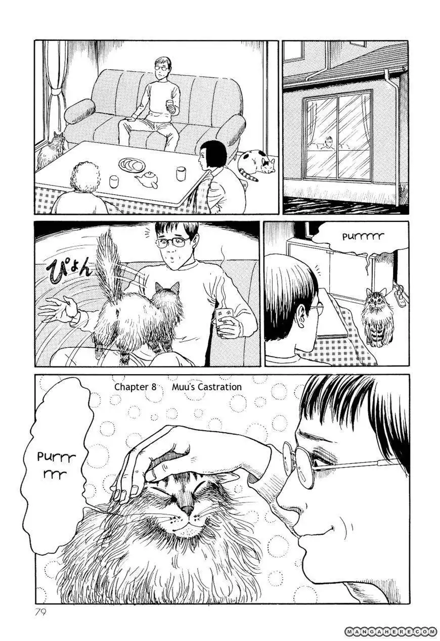 Ito Junji's Cat Diary Chapter 8 1